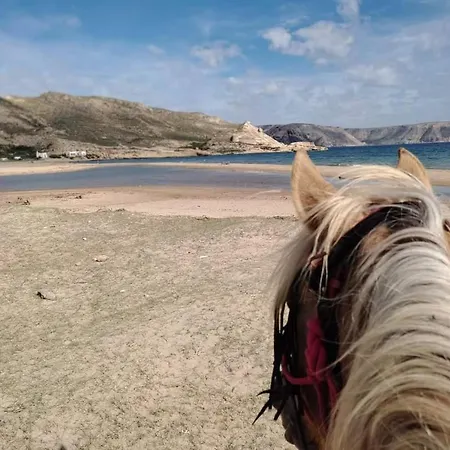 Caballo De Mar Frison Cabo De Gata San Jose  Exterior photo